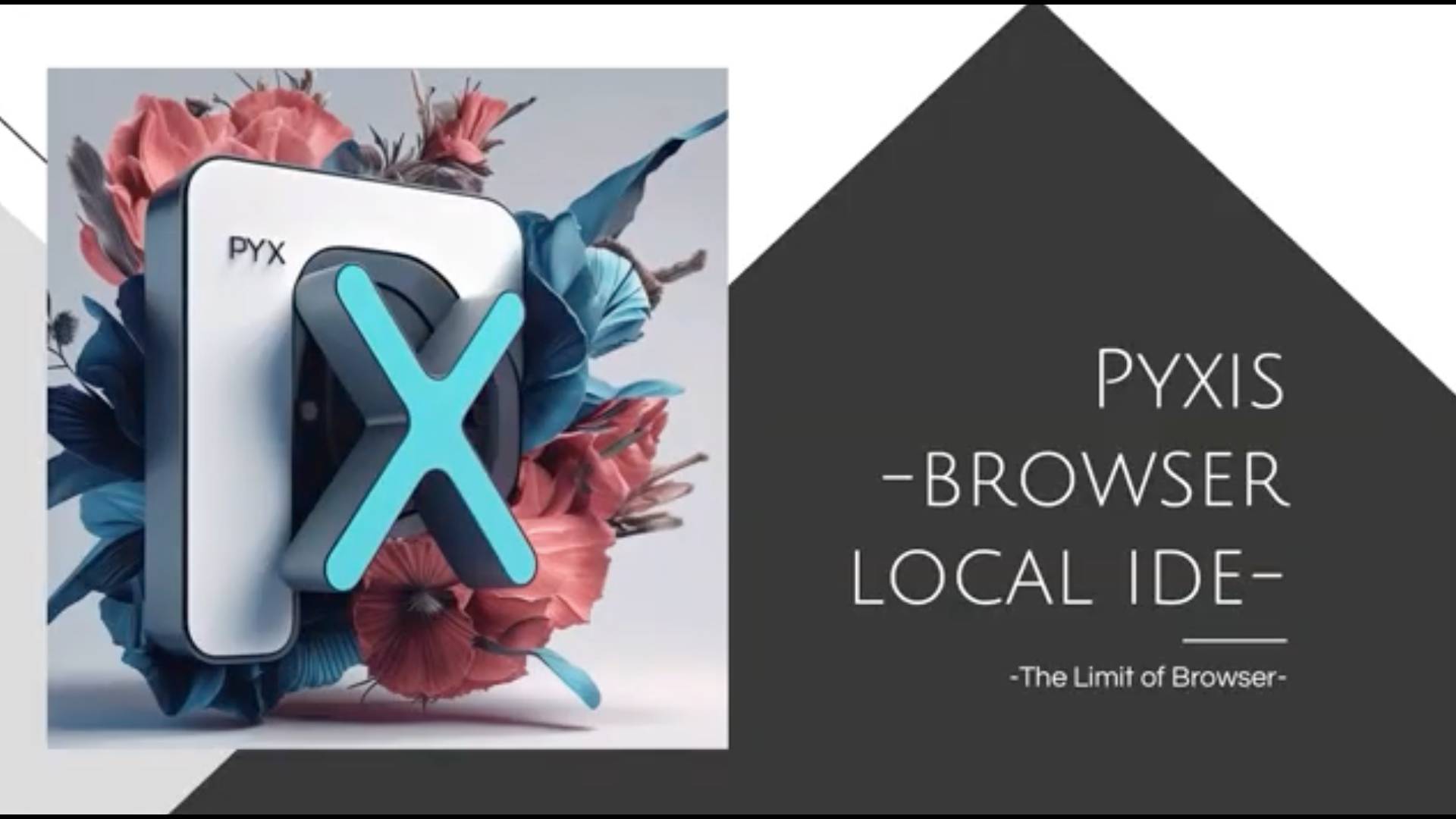 Pyxis -Client Side Code Editor