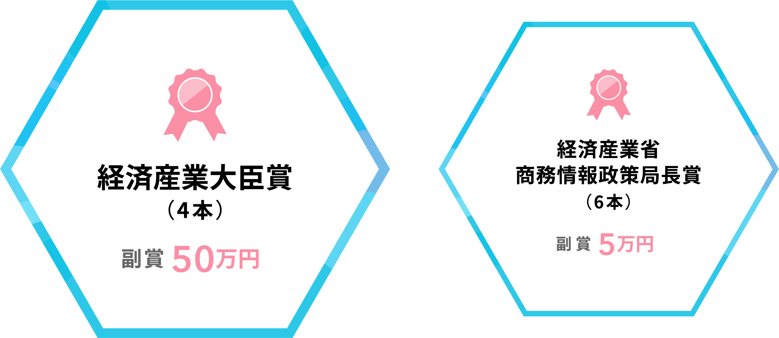 経済産業大臣賞/経済産業省商務情報政策局長賞